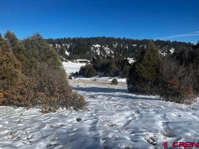 a view of a yard with a tree