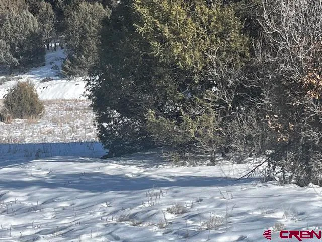 a view of outdoor space with green field