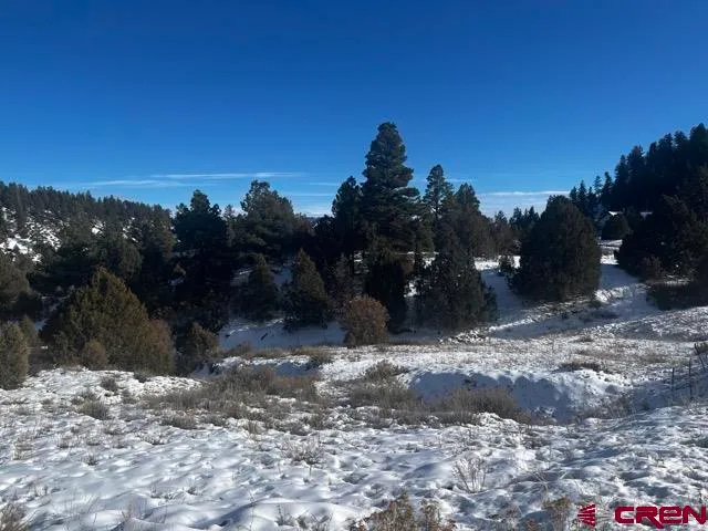 a view of a dry yard covered with snow