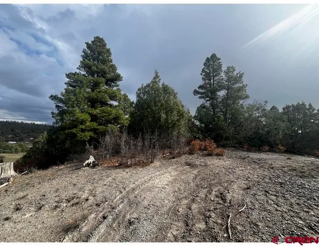 a view of outdoor space and trees