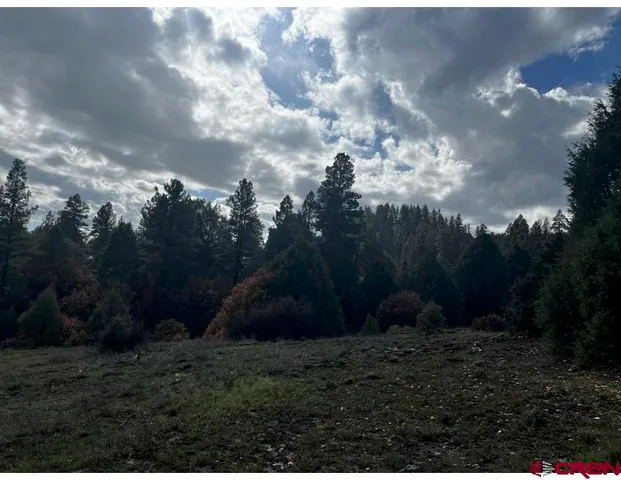 a view of outdoor space and green space