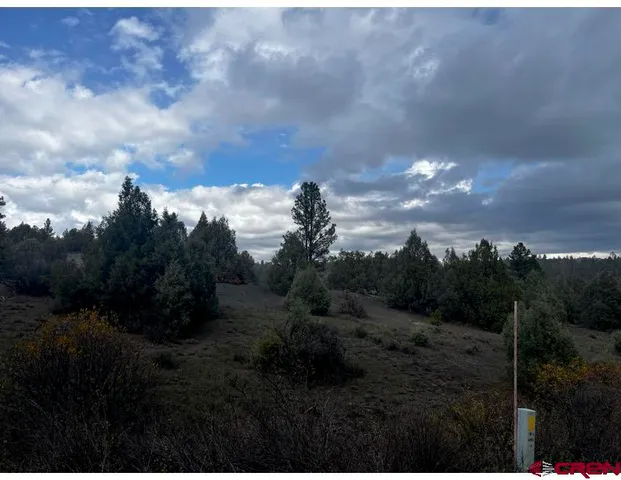 a view of a city with lush green forest