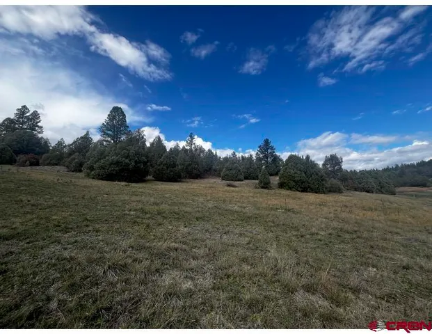 a view of a field with an ocean