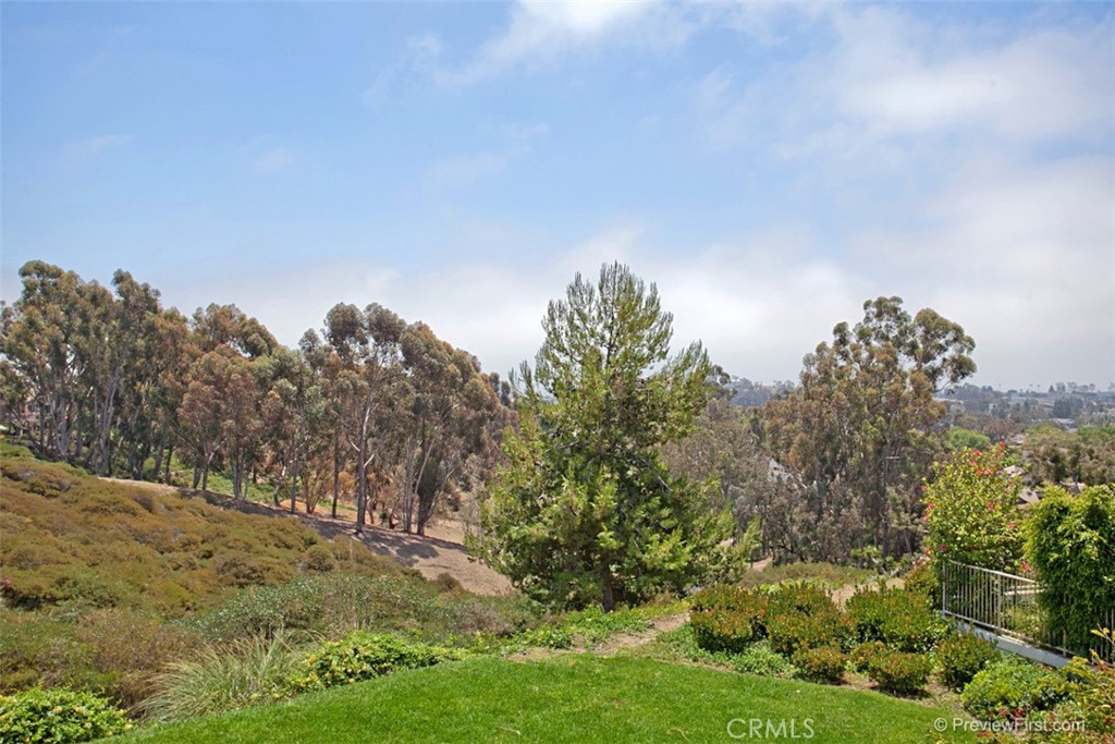 18 Logo Dana Point Dana Point, CA 92629 - Photo 4 of 27