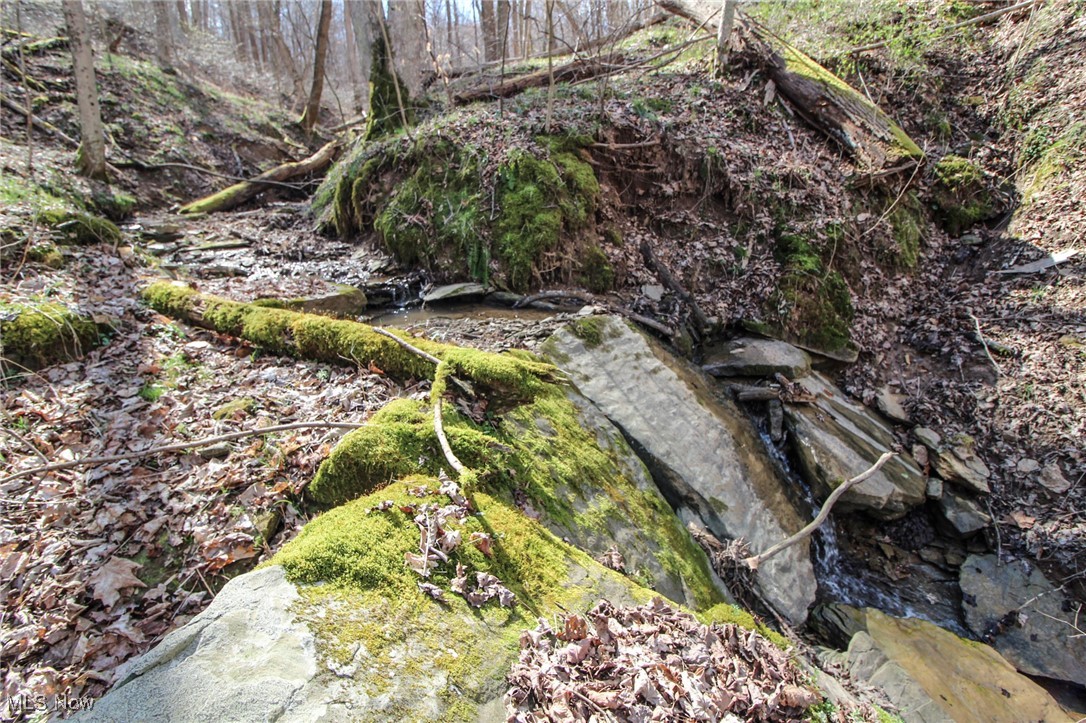 Elk Run Road New Matamoras, OH 45767 - Photo 20 of 27 View of landscape