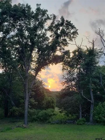 a view of a field with a tree in the background