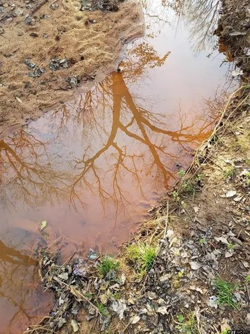 a backyard of a house