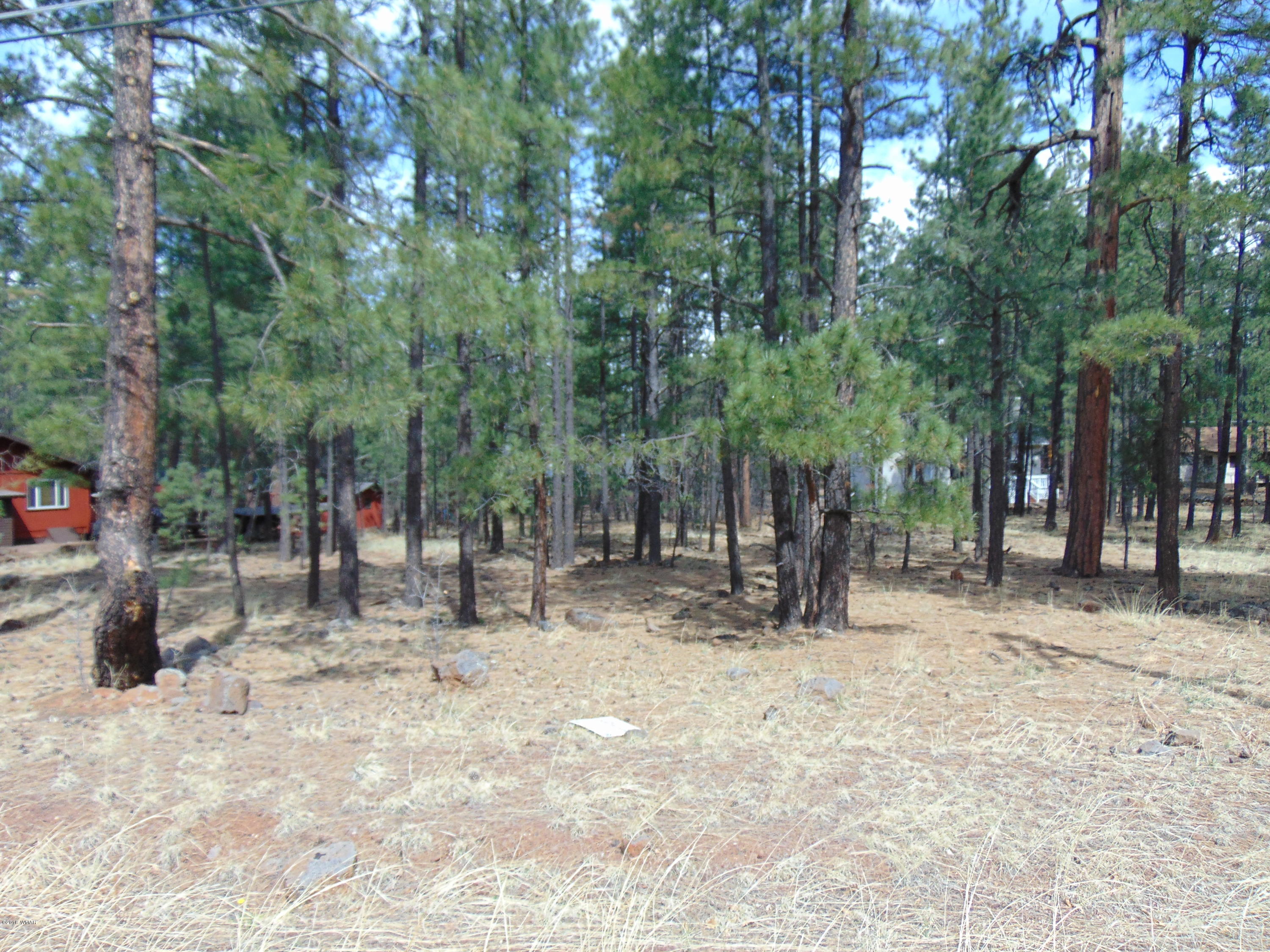 7642 Buck Springs Road Pinetop, AZ 85935 - Photo 2 of 6 Gallery Image 2