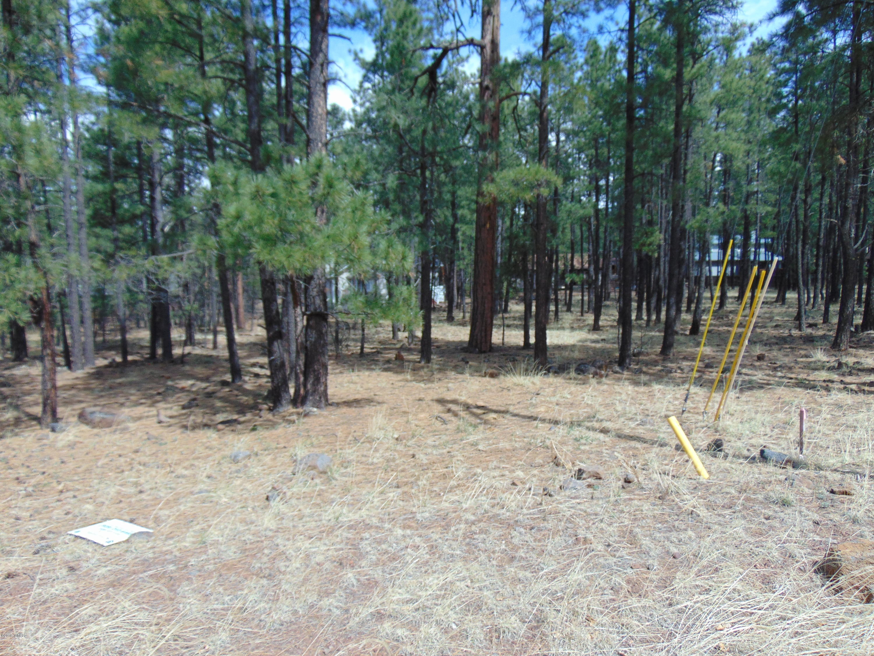 7642 Buck Springs Road Pinetop, AZ 85935 - Photo 3 of 6 Gallery Image 3