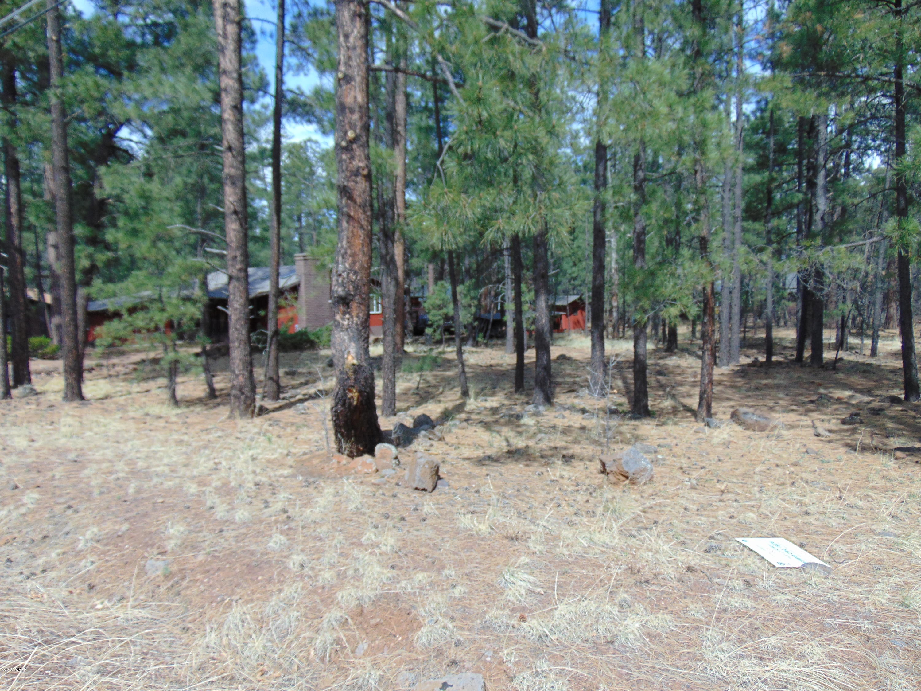 7642 Buck Springs Road Pinetop, AZ 85935 - Photo 4 of 6 Gallery Image 4