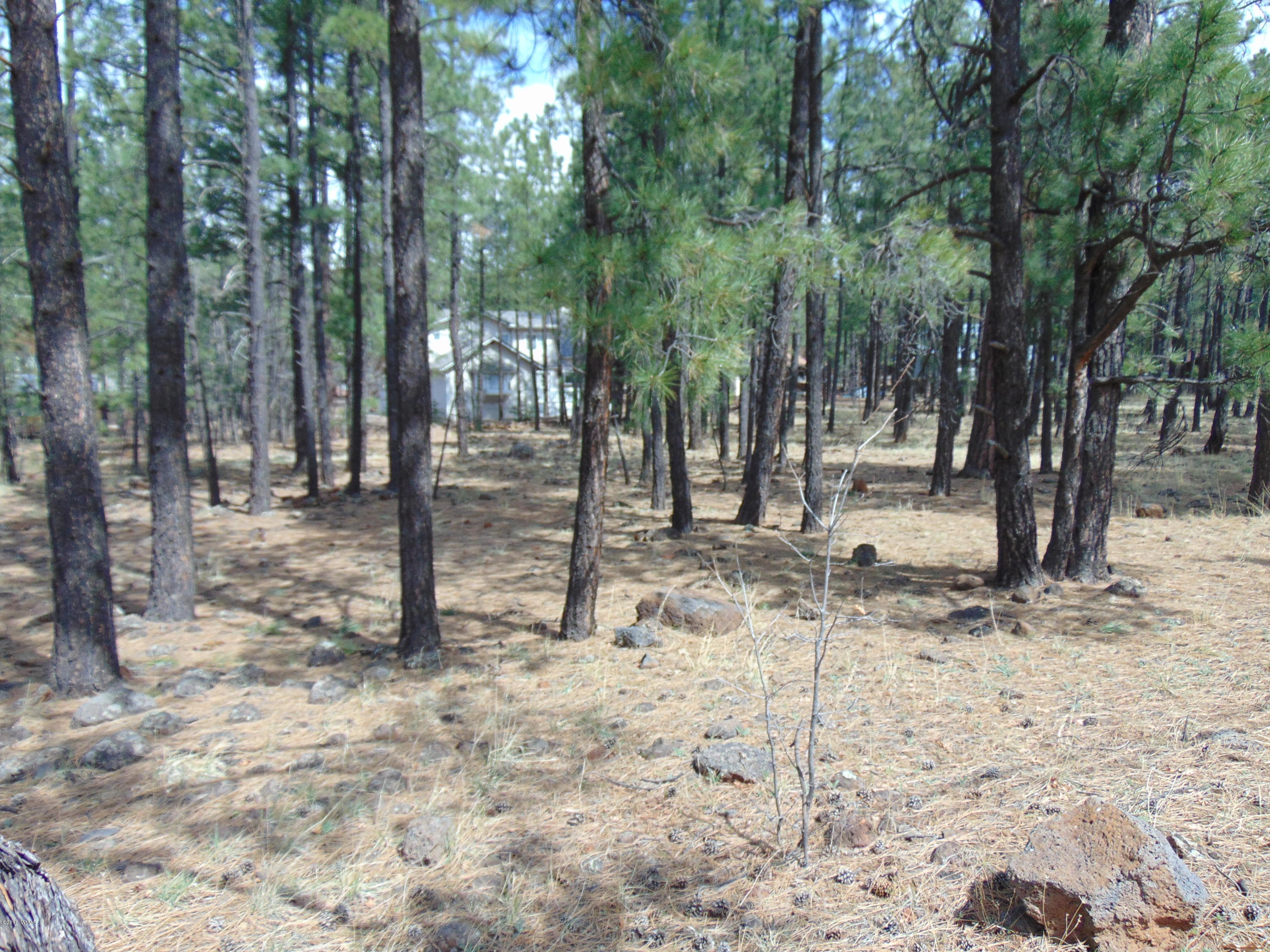7642 Buck Springs Road Pinetop, AZ 85935 - Photo 5 of 6 Gallery Image 5