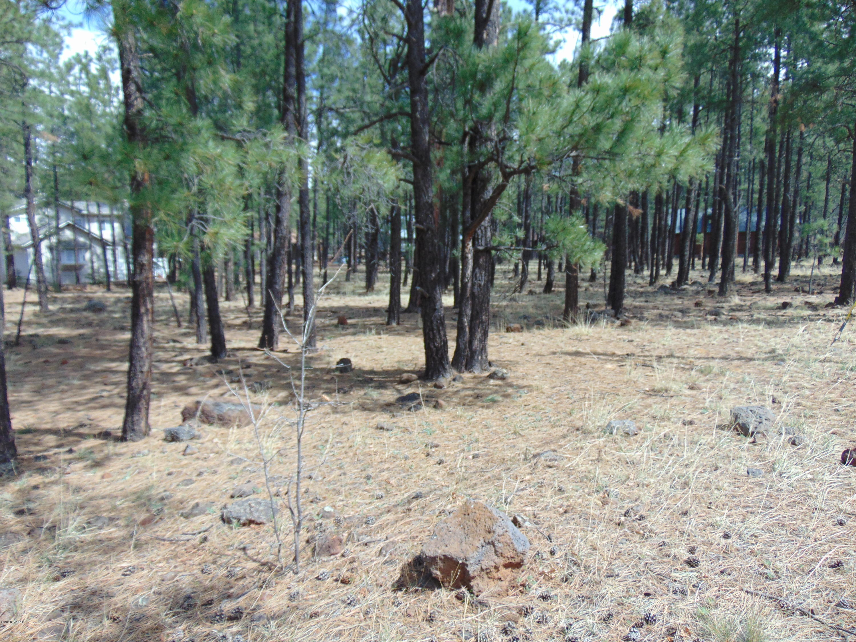 7642 Buck Springs Road Pinetop, AZ 85935 - Photo 6 of 6 Gallery Image 6