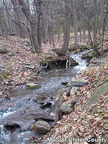225 Krumville Road, Unit 225 COUNTY ROUTE 2A Olivebridge, NY 12461 - Photo 2 of 2 Photo 3