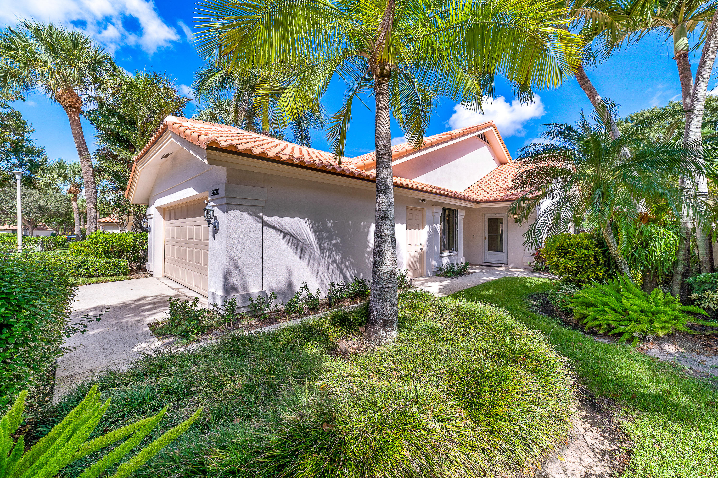 a view of a house with a yard and plants