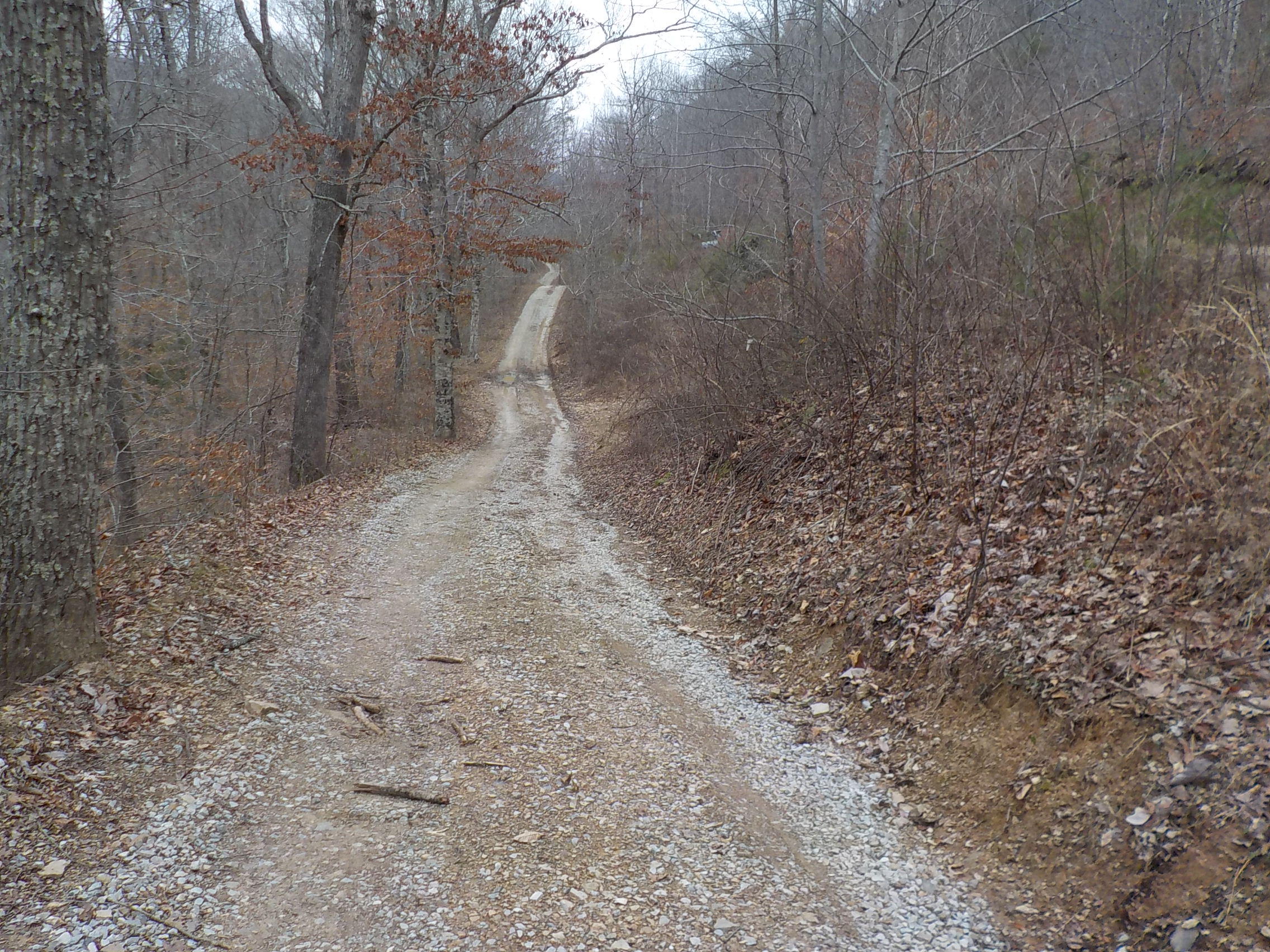 Briar Fork Road Bean Station, TN 37708 - Photo 14 of 17 015