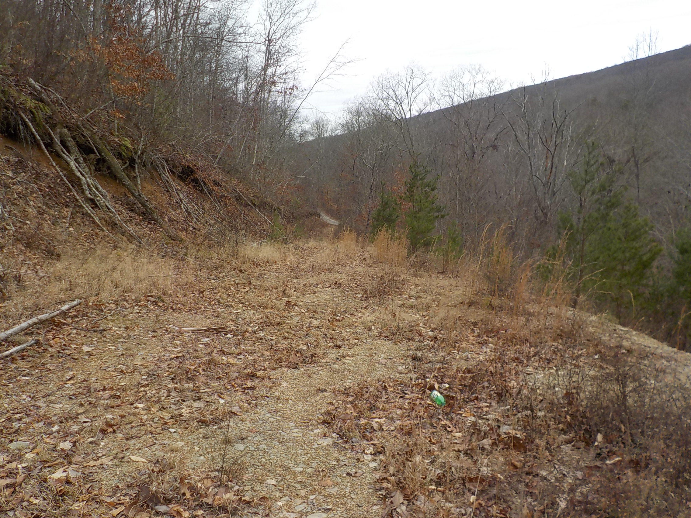 Briar Fork Road Bean Station, TN 37708 - Photo 8 of 17 009