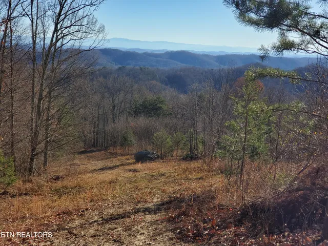 $1,395,000 | Poor Valley, Rutledge, TN 37861