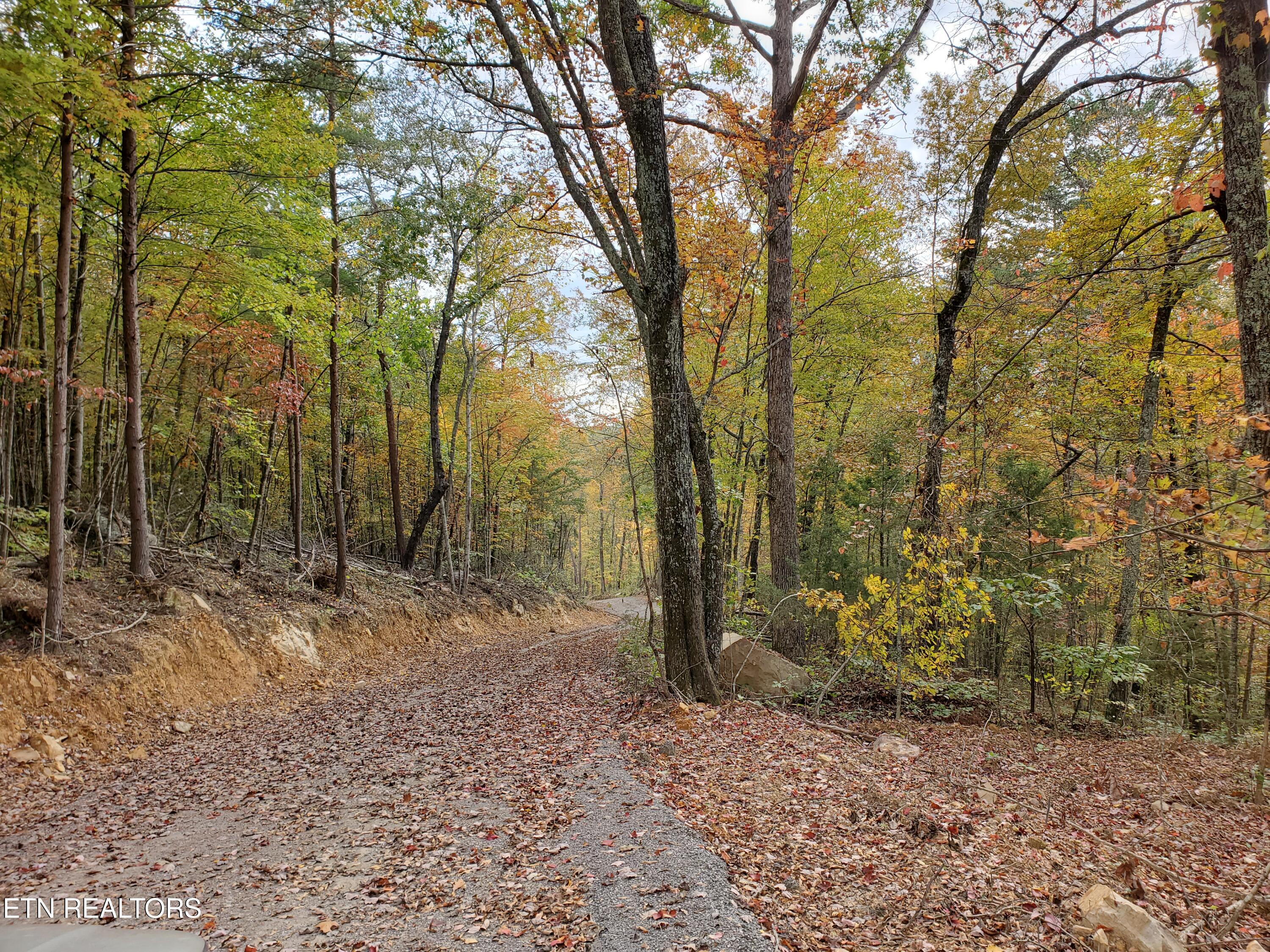 Poor Valley Rutledge, TN 37861 - Photo 2 of 3 cac2