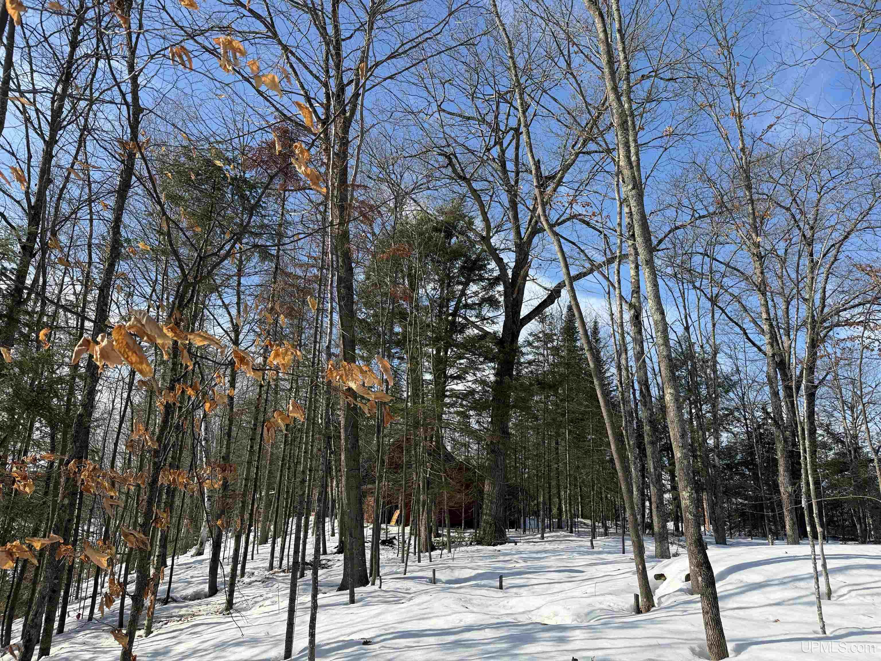 44870 Co Hwy D Cable, WI 54821 - Photo 13 of 51