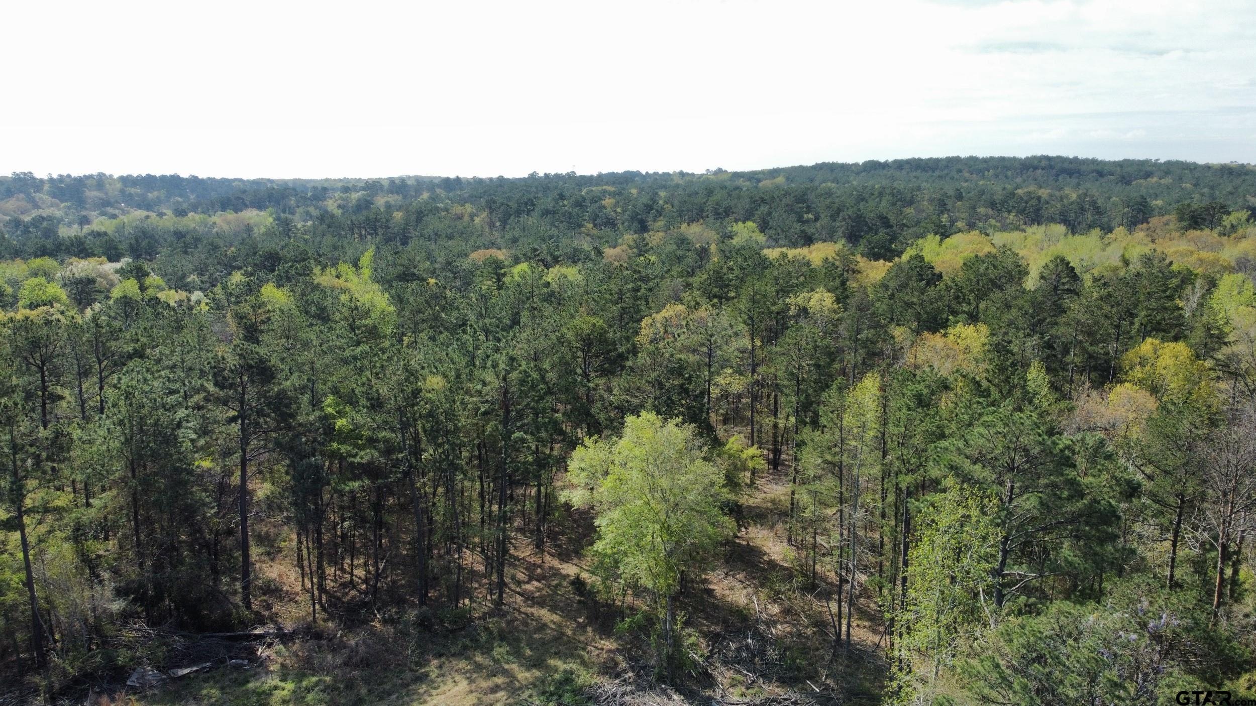 0 C R 434 Lindale, TX 75771 - Photo 28 of 29
