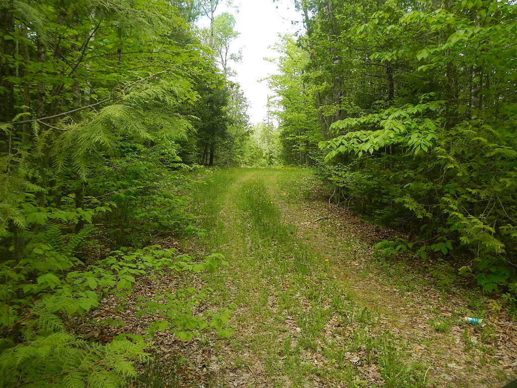 44-006 Half Township Road Lincoln, ME 04457 - Photo 3 of 13 DSCN9190