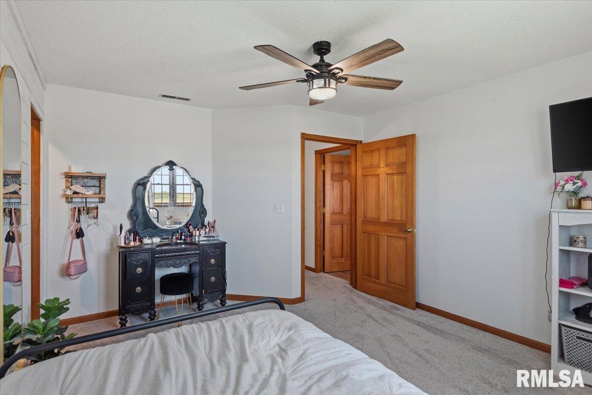 20205 North 20th Avenue Nokomis, IL 62075 - Photo 37 of 88