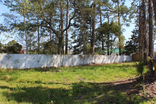a view of a back yard