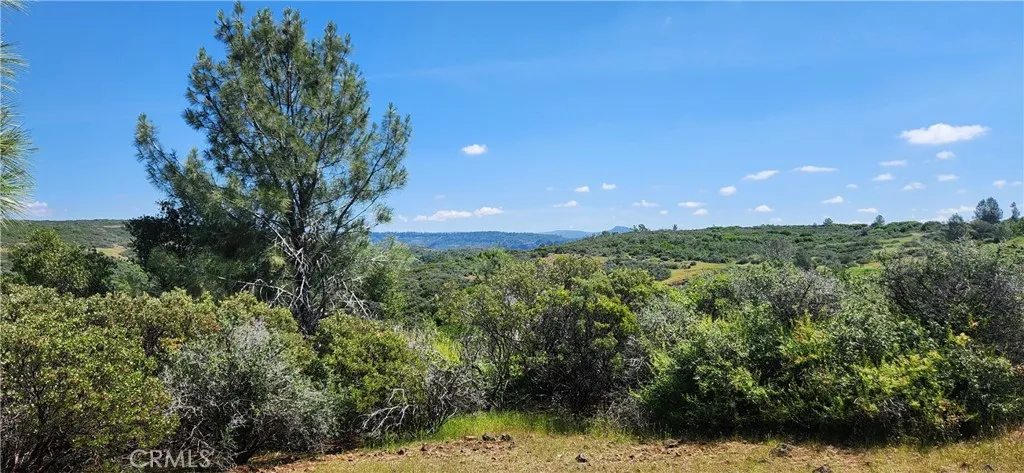 0 Hummer Forest Ranch Magalia, CA 95954 - Photo 3 of 28 a view of a garden