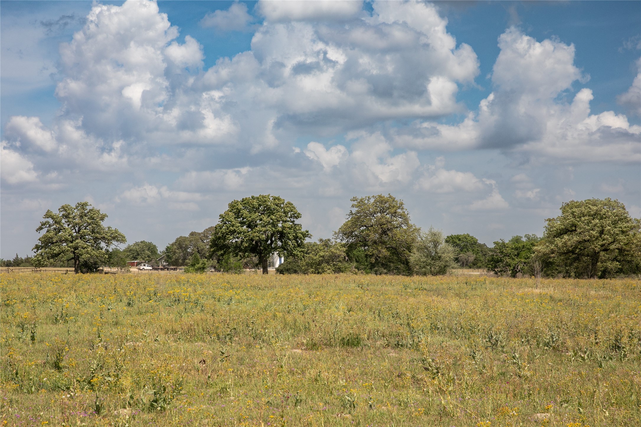 4254 FM 180 Road Ledbetter, TX 78946 - Photo 1 of 18 a view of yard and ocean