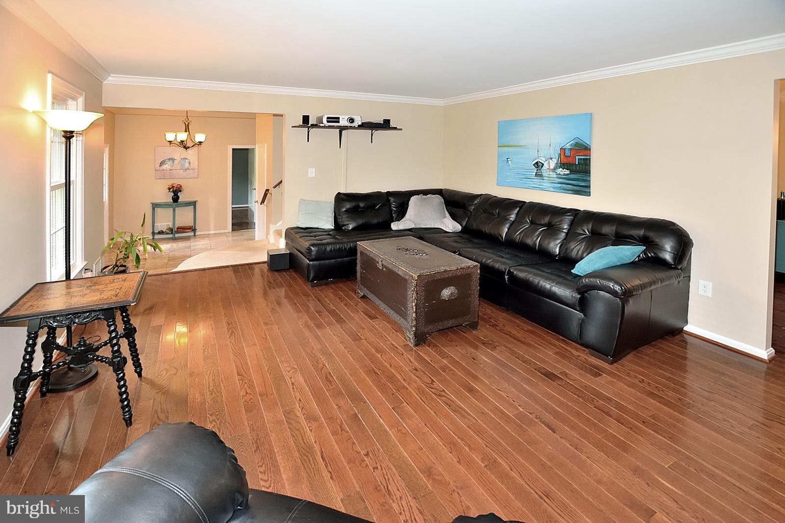 8008 West Point Drive Springfield, VA 22153 - Photo 2 of 30 Living Room