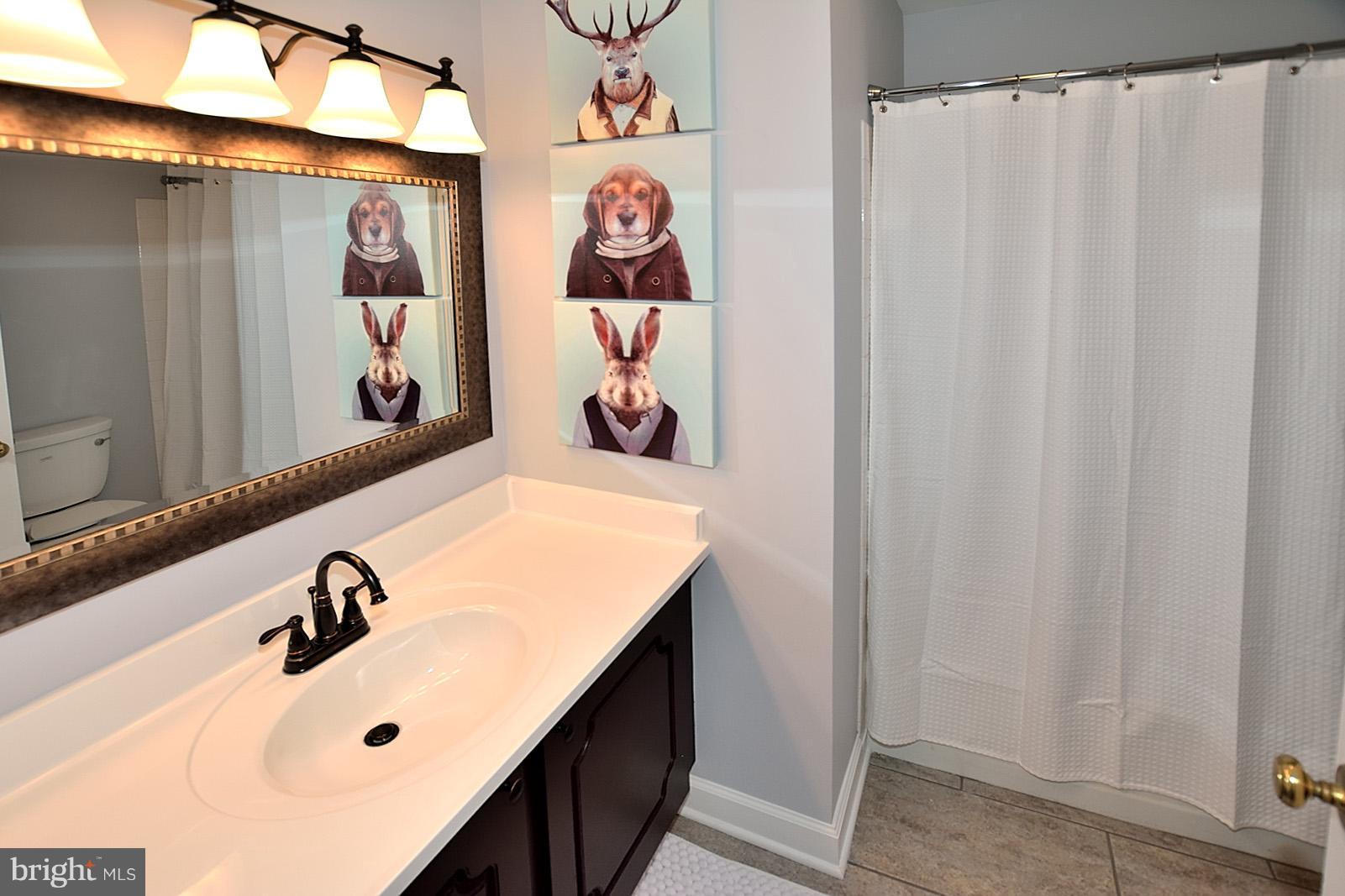 8008 West Point Drive Springfield, VA 22153 - Photo 23 of 30 Bath Hall
