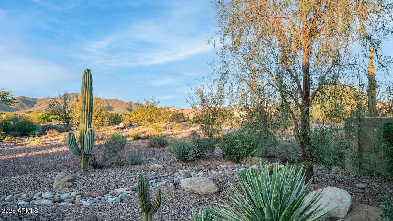 2401 West Webster Court Anthem, AZ 85086 - Photo 3 of 68 5