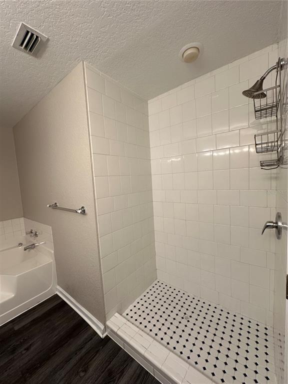 17236 3rd Street Montverde, FL 34756 - Photo 11 of 29 a bathroom with a sink and a shower