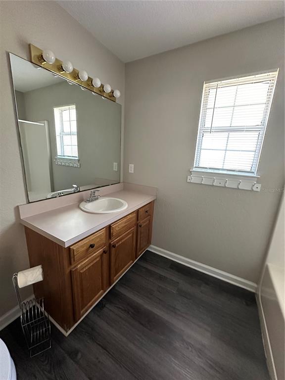 17236 3rd Street Montverde, FL 34756 - Photo 17 of 29 a bathroom with a sink and a mirror