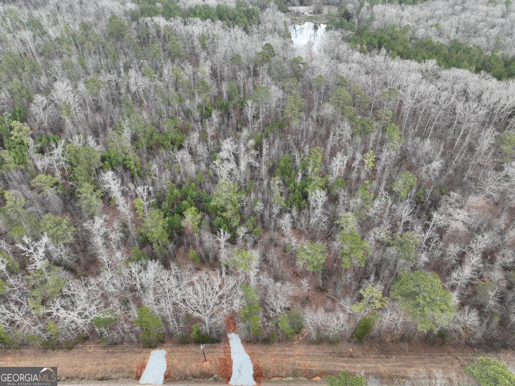 183 Rock Creek Road Flovilla, GA 30216 - Photo 3 of 10 a view of a yard
