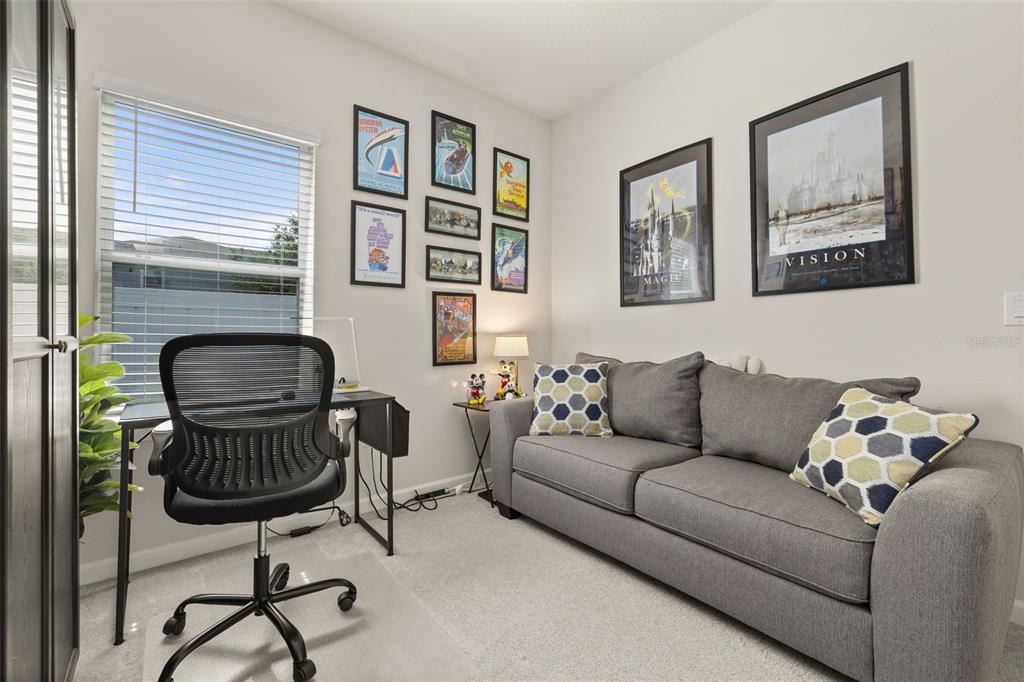 367 August Fern Loop Mount Dora, FL 32757 - Photo 33 of 90