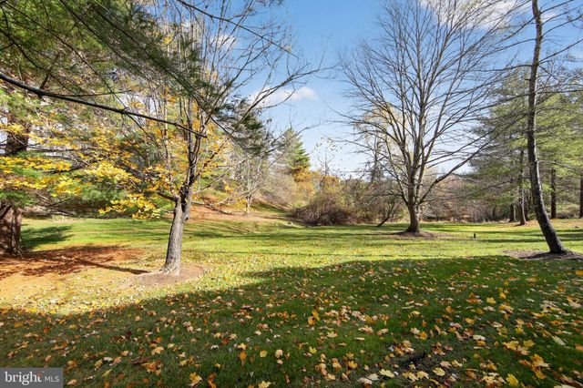a view of a field with an trees