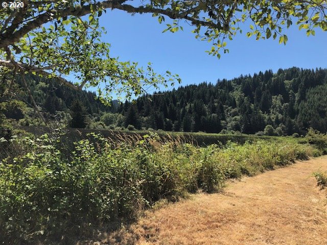 Duncan Island Road Mapleton, OR 97453 - Photo 1 of 6 Gallery Image 1