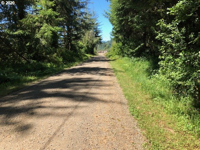 Duncan Island Road Mapleton, OR 97453 - Photo 2 of 6 Gallery Image 2