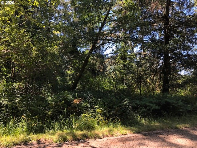 Duncan Island Road Mapleton, OR 97453 - Photo 5 of 6 Gallery Image 5