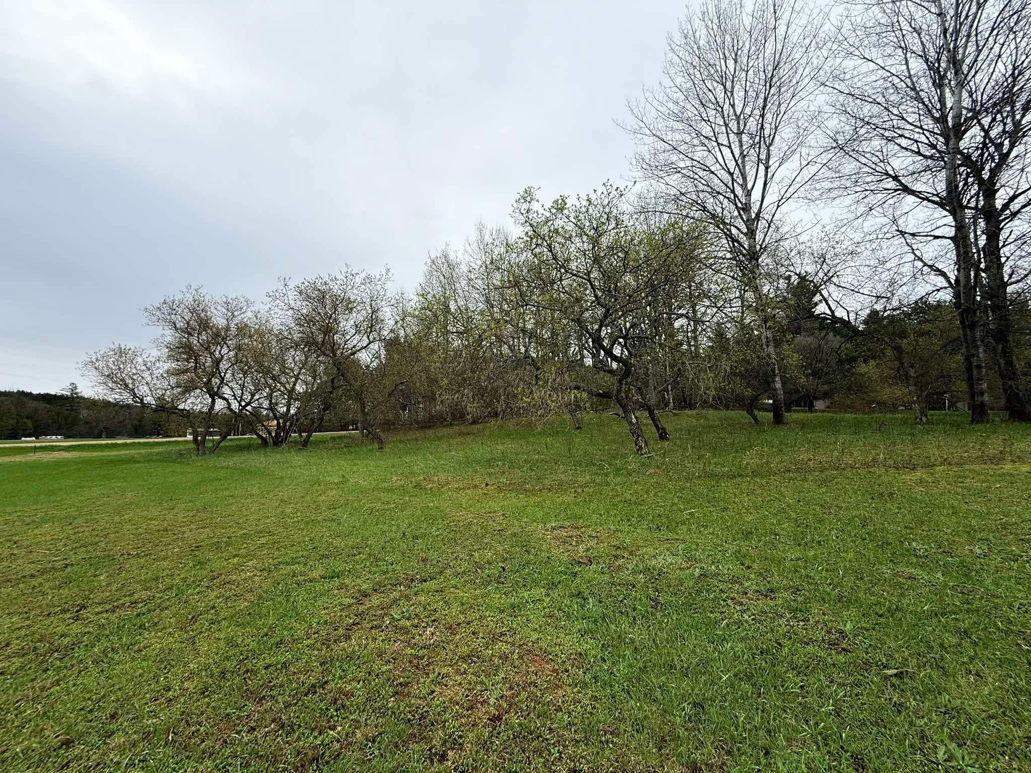 5651 North Seeley Road Manton, MI 49663 - Photo 8 of 49