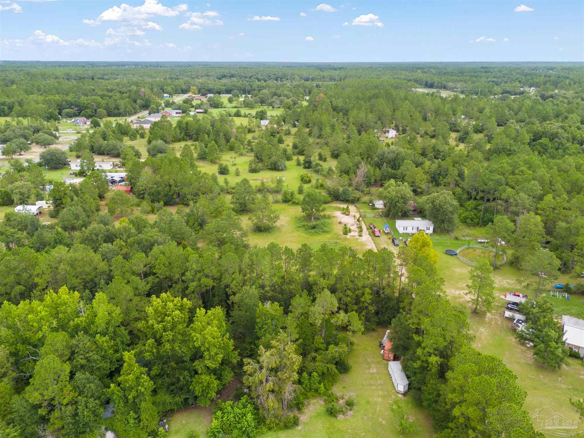 Blue Ribbon Drive Milton, FL 32583 - Photo 4 of 12
