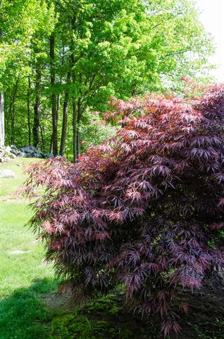 $985,000 | 6 Mottau Drive, Lyndeborough, NH 03082