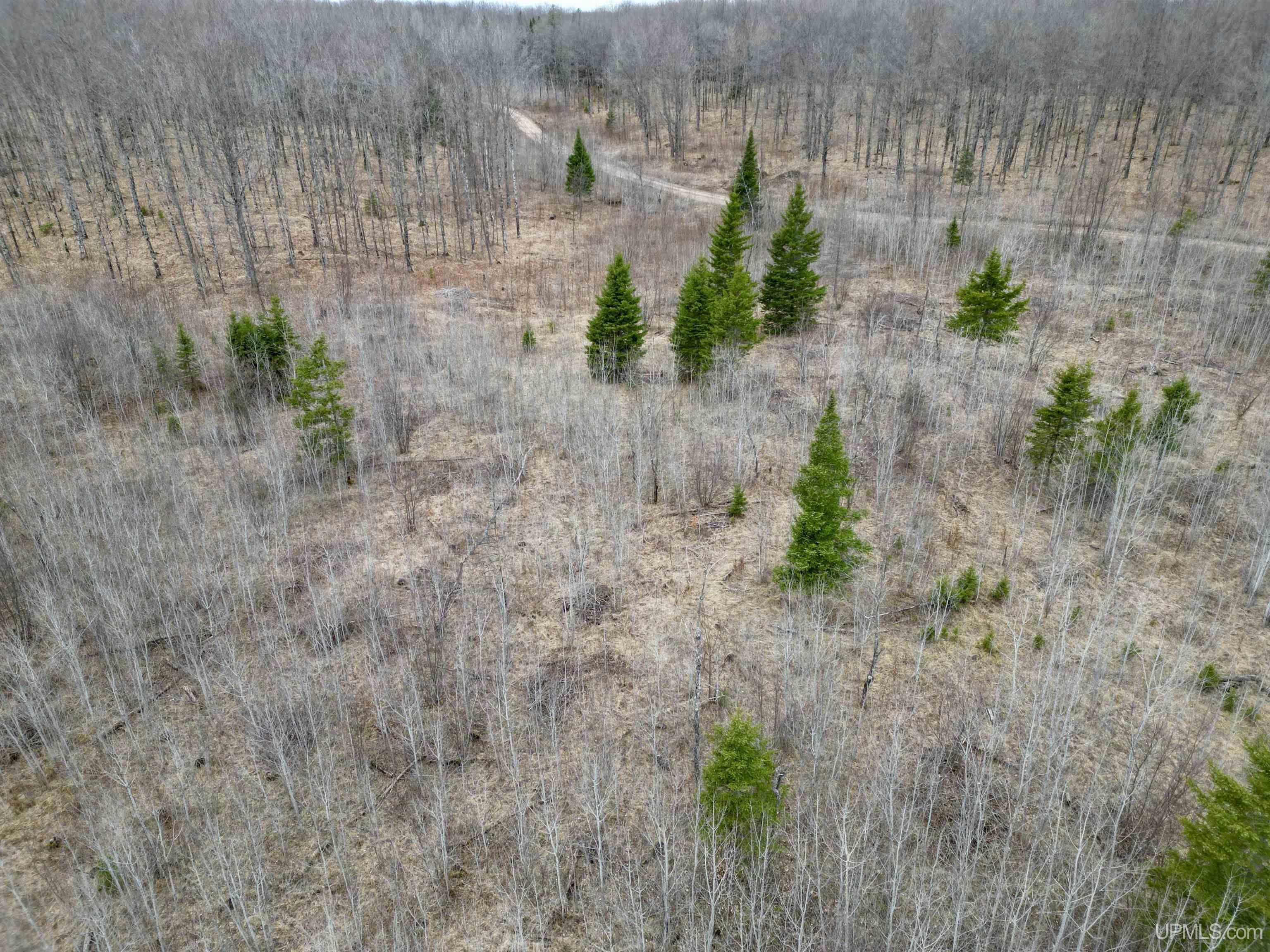 Tbd North Gaber Rd H Road Perronville, MI 49873 - Photo 3 of 14