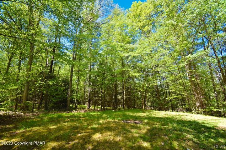 1239 Glenbrook Road Bartonsville, PA 18321 - Photo 4 of 32 a view of a trees with a yard