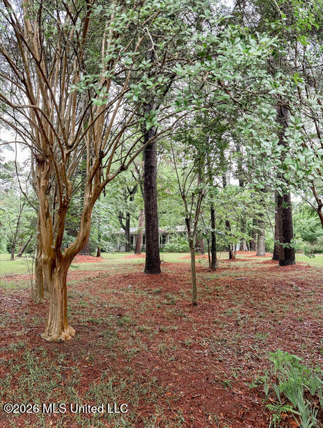 108 Dana Road Natchez, MS 39120 - Photo 11 of 46 10