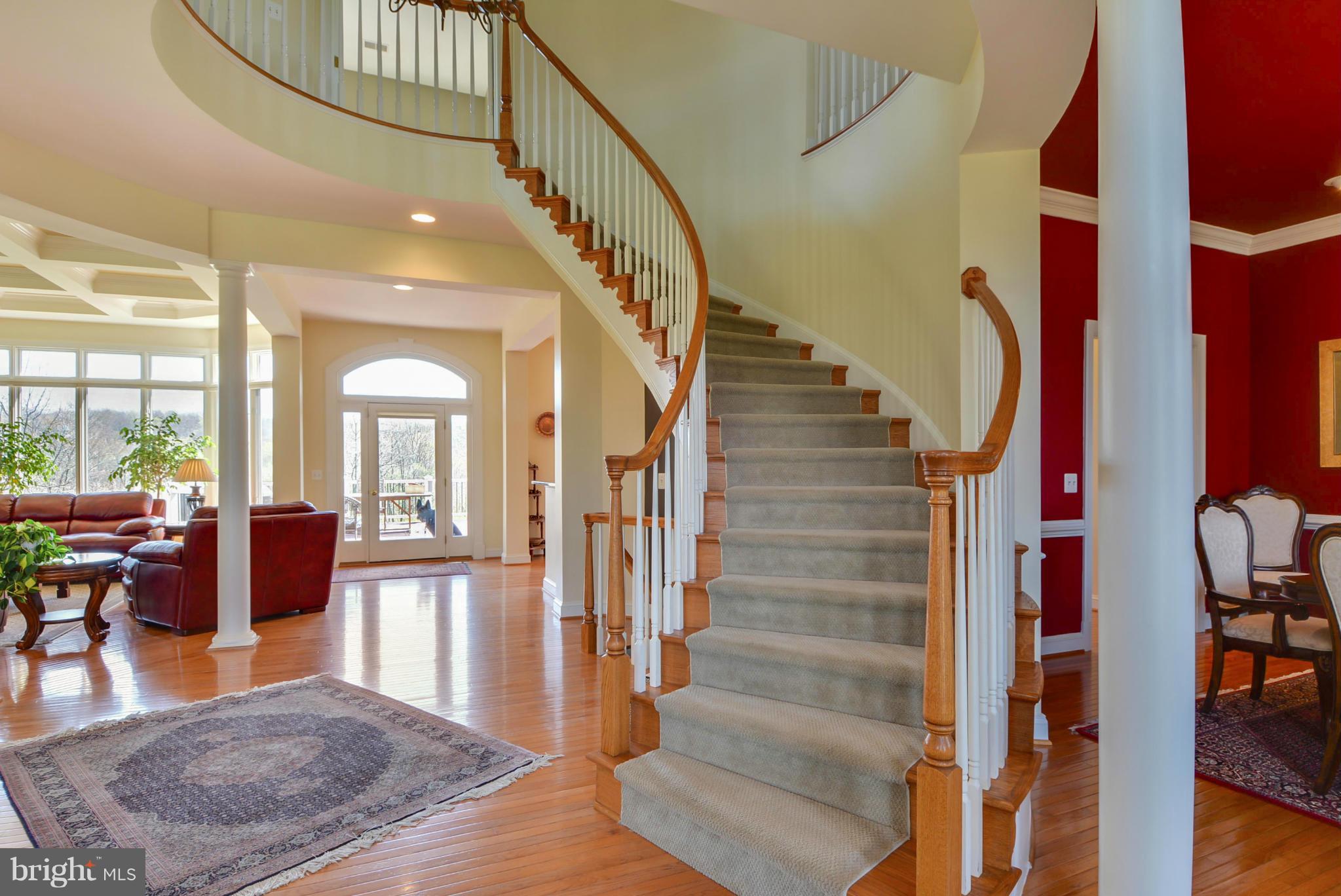 17086 Winning Colors Place Leesburg, VA 20176 - Photo 9 of 29 Foyer prior to new floors and paint