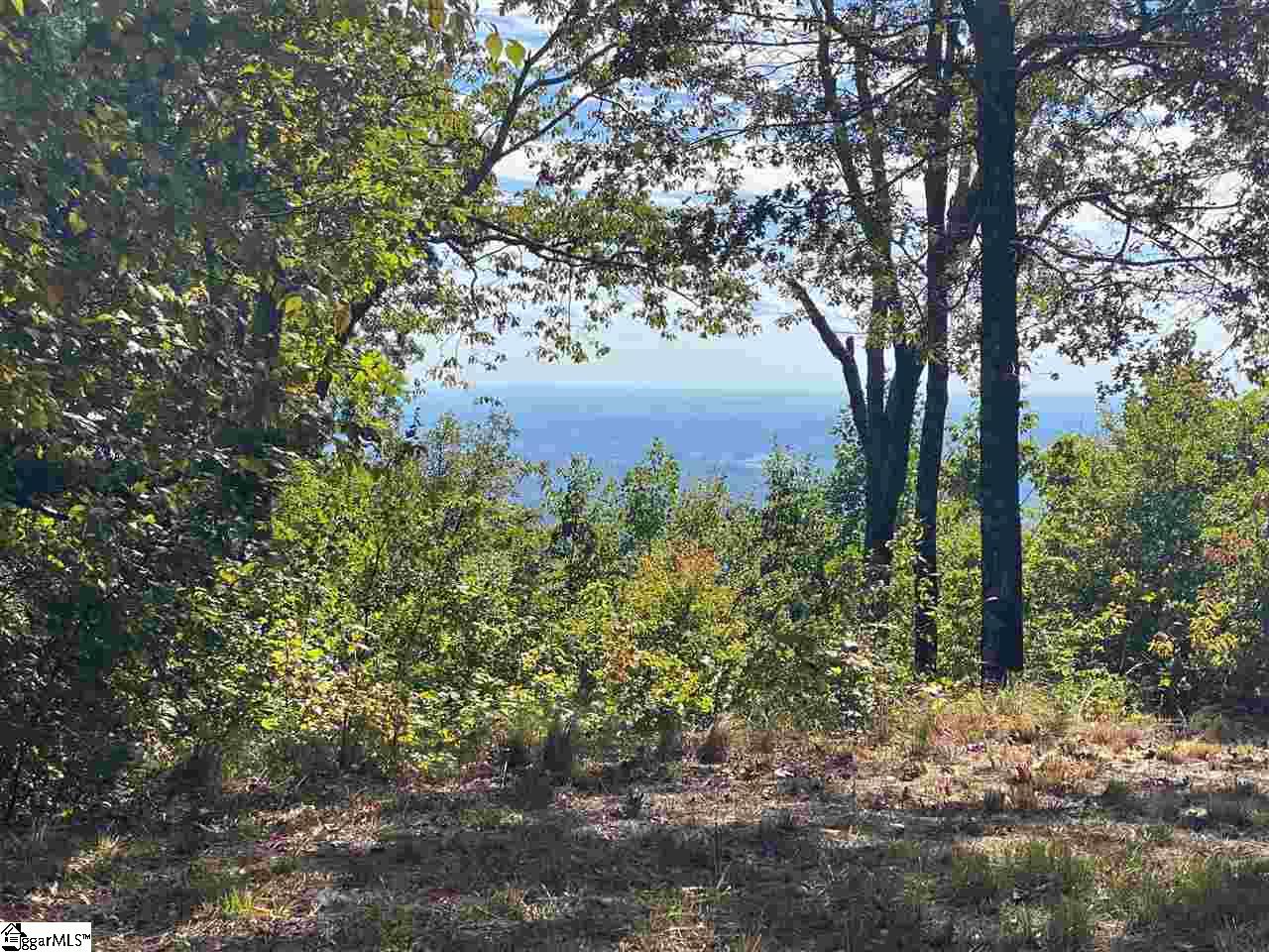 8 Pine Shadow Lane Landrum, SC 29356 - Photo 1 of 5