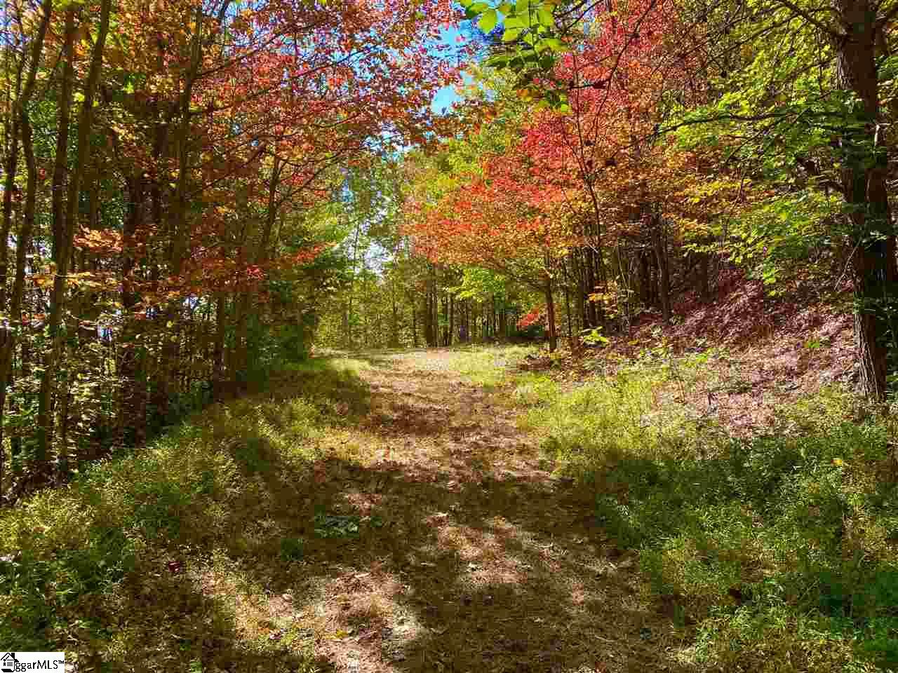 8 Pine Shadow Lane Landrum, SC 29356 - Photo 2 of 5