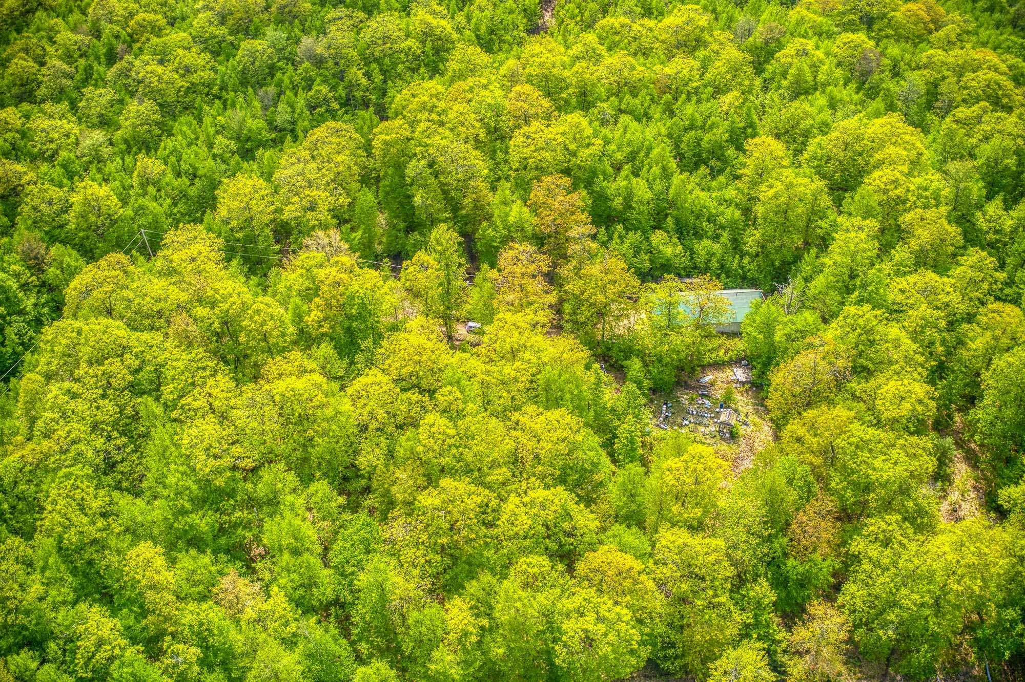 79 Summit Drive New Boston, NH 03070 - Photo 3 of 19